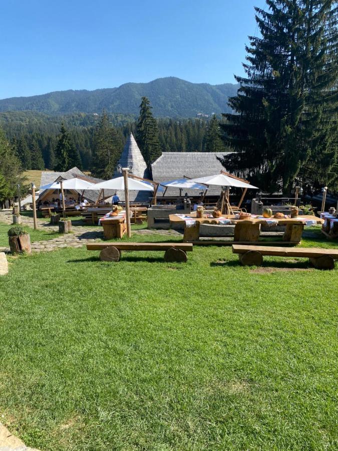 Pentahouse Mountain Belle Vue Lägenhet Poiana Brasov Exteriör bild